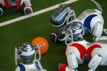 Roboter spielen Fußball Künstliche Intelligenz Forschung Hochschule Harz Robocup KAT-Netzwerk