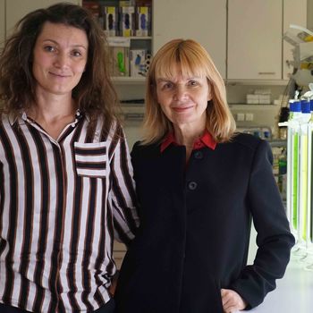 Porträtbild Dr Claudia Grewe und Prof Carola Griehl im Labor Algenbiotechnologie HS Anhalt Projekt Alge Tetradesmus wisconsinensis
