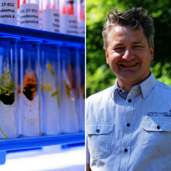 Symbolbild gesplittet: Reagenzgläser zeigen bunte Algen aus den Laboren der Hochschule Anhalt (links), Porträtbild Jan-Henryk Richter-Listewnik Mann mittleren Alters lächelt (rechts)