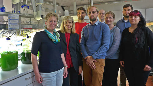 Bild der Projektpartner