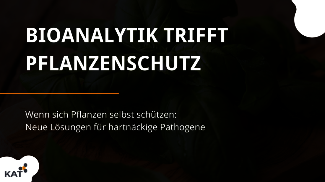 Grafik KAT Projektdarstellung Bioanalytik trifft Pflanzenschutz HS Anhalt