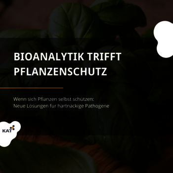 Grafik KAT Projektdarstellung Bioanalytik trifft Pflanzenschutz HS Anhalt 2021_1