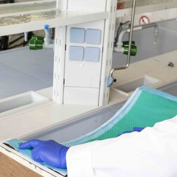 Laborsituation: Wissenschaftler mit blauen Handschuhen legt grünes Material auf Labortisch