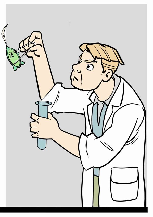 Comic Bild 2 Alge Tetradesmus wisconsinensis Hochschule Anhalt Salata AG Algenbiotechnologie