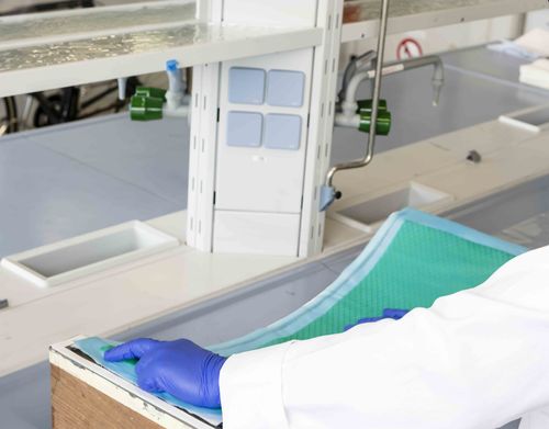 Laborsituation: Wissenschaftler mit blauen Handschuhen legt grünes Material auf Labortisch