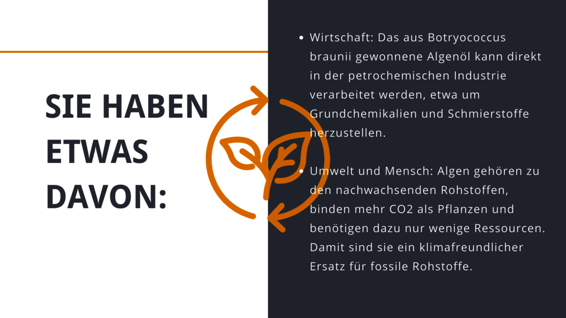 Grafik in Grau Weiß Gelb beschreibt den Nutzen des Projekts EVEK und seiner Algentankstelle