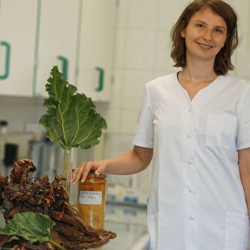 Wissenschaftlerin Marit Gillmeister im Labor mit Rhabarberwurzel und Extrakt Fungizid Life Sciences Hochschule Anhalt