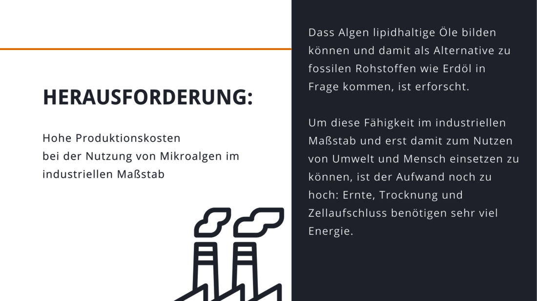 Grafik in Grau und Weiß erklärt Herausforderung bei der industriellen Gewinnung von Mikroalgen als Energieträger