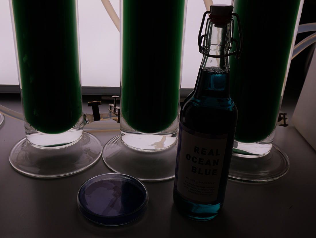 Labor Algen in Glasröhren mit Getränk Real Ocean Blue