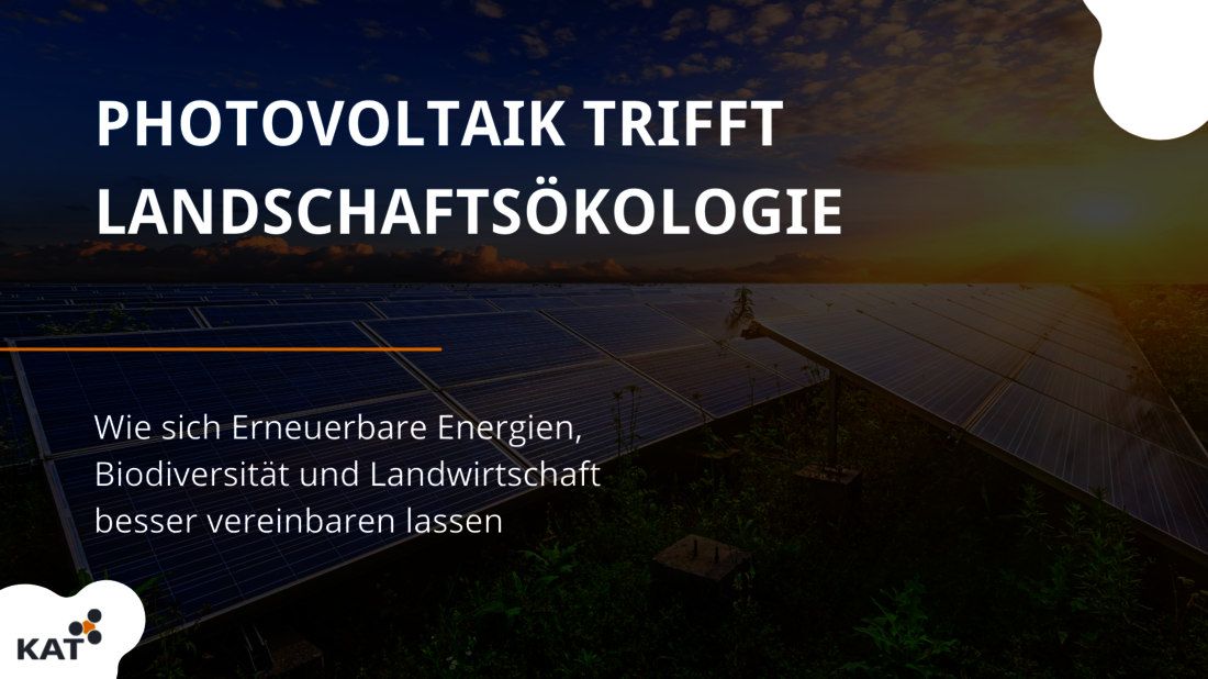Grafik mit Text und Solarpanels zeigt Projekt Photovoltaik trifft Landschaftsökologie HS Anhalt
