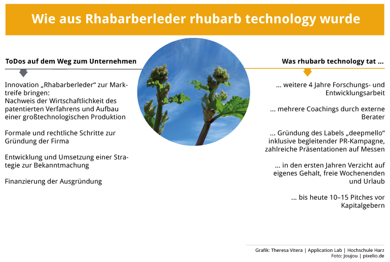 Grafik Rhabarberleder rhubarb technology Hochschule Anhalt Gründungstransfer KAT-Netzwerk